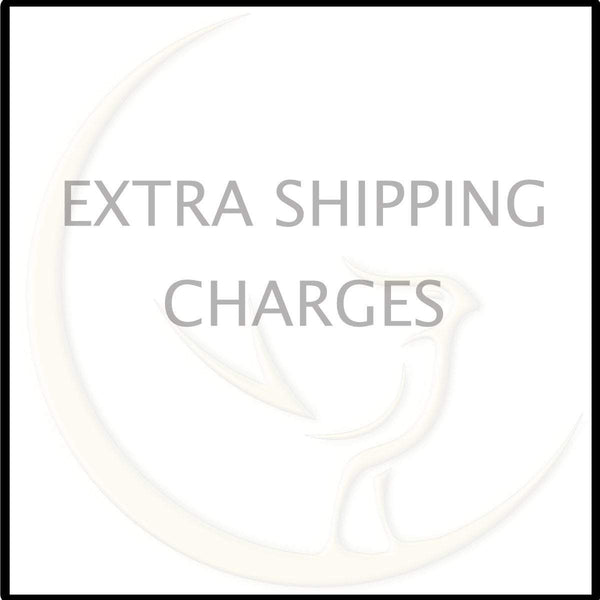 Extra Shipping Charges for International Buyers LATUKI 